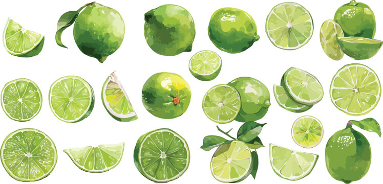 lime watercolor clipart