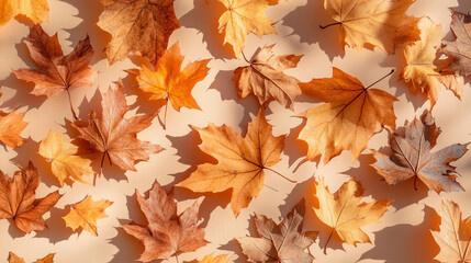 Fototapeta premium Colorful autumn leaves scattered on a light background showcasing seasonal change