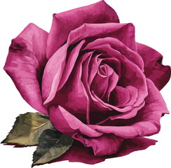 Bouquet of red roses