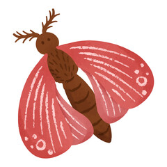 pink moth illustration