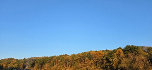 Autumn forest and blue sky