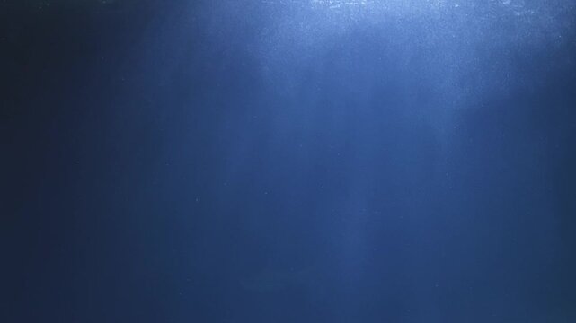 A shark swims through blue depths lit by sunbeams from above. Light refracts on the water&rsquo;s surface, illuminating the fish in majestic slow motion.