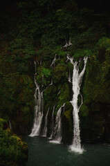 waterfall in the forest
