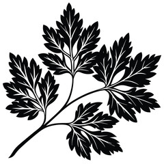 Parsley Icon on Transparent Background
