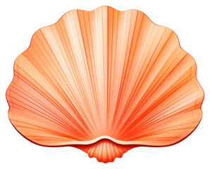 PNG White background invertebrate freshness shellfish.
