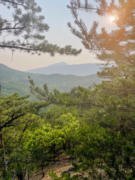 USA, Virginia, Blacksburg, Sun shining through tree branches in hilly landscape