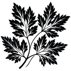 Parsley Icon on Transparent Background
