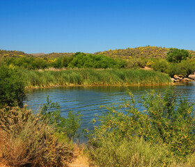 Spring at Saguaro lake in Arizona