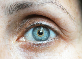 eyelash blue eyelash g&ouml;z mavi