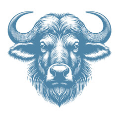 buffalo vector illustration