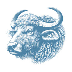 buffalo vector illustration