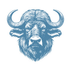buffalo vector illustration
