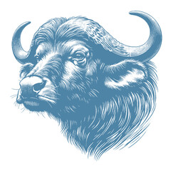 buffalo vector illustration