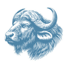 buffalo vector illustration
