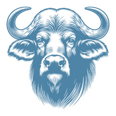 buffalo vector illustration