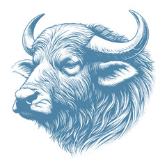 buffalo vector illustration