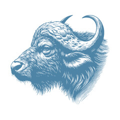 buffalo vector illustration
