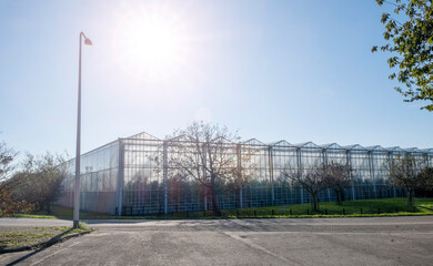 Obraz premium Greenhouse white blue sky sunshine modern Westland Netherlands