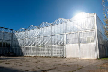 Naklejka premium Greenhouse white blue sky sunshine modern Westland Netherlands