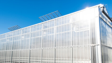 Greenhouse white blue sky sunshine modern Westland Netherlands