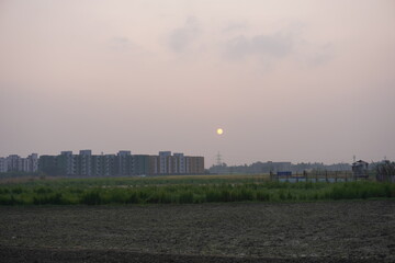 The sun is going down in the evening beside the paddy field