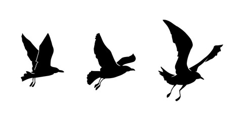 Black silhouette of a petrel spreading its wings and flapping its wings icon illustration	