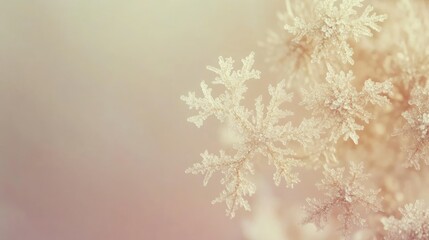 Delicate Snowflakes on a Soft Background