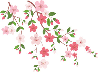 Naklejka premium vector illustration cherry blossom of flower brunch