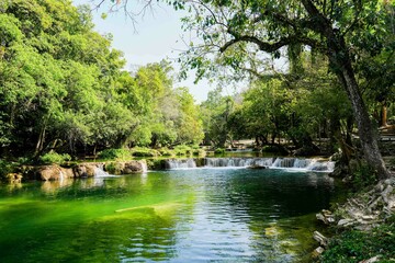 Serene Green River Flowing Through Lush Forest Landscape