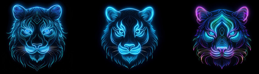 Three tiger heads outlined in neon blue, purple and green on a black background.