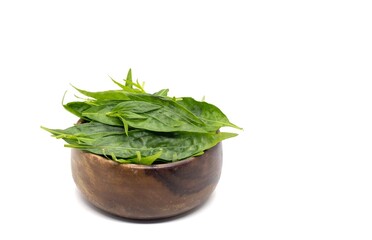 Green Chiretta or Kalmegh Leaves in a Wooden Bowl Isolated on White Background with Copy Space, Also Known as Andrographis Paniculata, Uses Ayurvedic Herbal Medicine