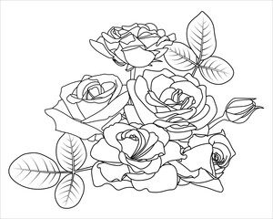 Floral Botanical Rose Composition. Roses, buds, leaves. Outline flowers bouquet. Design elements in contour style. Black on white. Coloring book page, Valentine, decor, cards, invitations