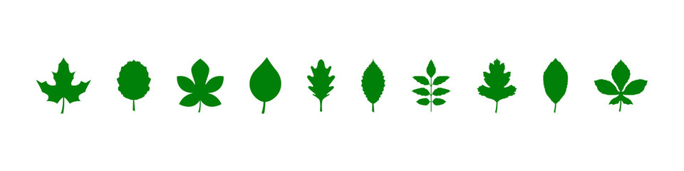 Fototapeta premium Leaf icon. Set of green leaf icons. Eco, bio, natural, vegan icon. Leaves of trees and plants. Leaves icon Collection