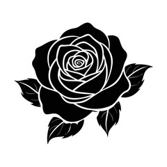 beautiful rose flower vector art illustrator