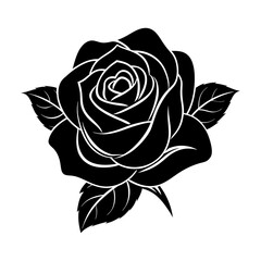 beautiful rose flower vector art illustrator