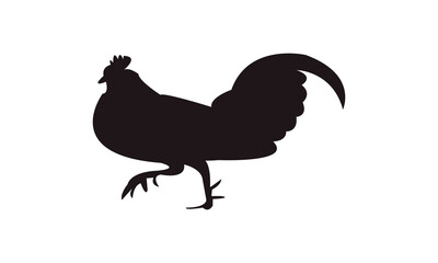 Wild Rooster Silhouette And Vector Illustration. 