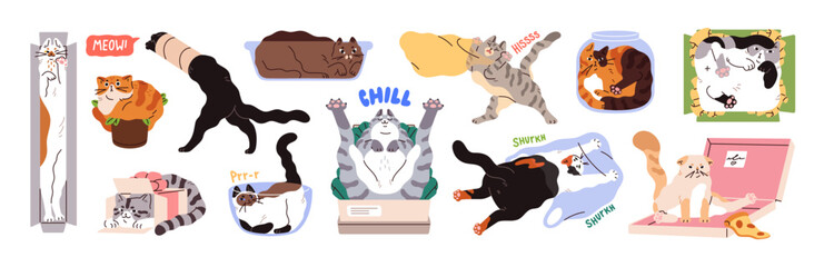 Funny cats in cardboards, bowls set. Naughty kitties lying inside boxes with different shape. Cute kittens play with packs, bags, sit in pot, have fun. Flat isolated vector illustrations on white © Paper Trident