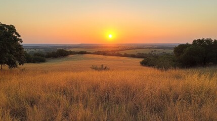 Fototapeta premium Sunset over a grassy field with trees in the foreground