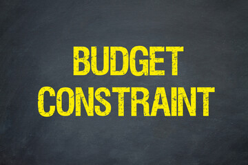 Budget Constraint