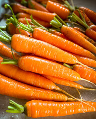 Close up bright orange carrots lay flat with carrot greens fronds and a wooden background board. Rustic with natural light shadow. Preparing ingredient, recipe fresh vegetables for cooking meal. 