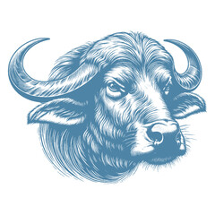 buffalo vector illustration