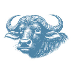 buffalo vector illustration