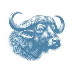 buffalo vector illustration