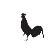 silhouette of a rooster on a white background