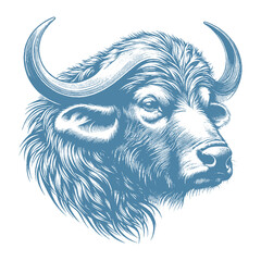 buffalo vector illustration