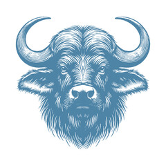 buffalo vector illustration