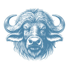 buffalo vector illustration