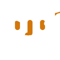 Cyprus flag on Face ID outline icon