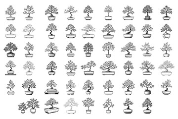 Bundle Black Line Art Beautiful Sakura Tree Decorative Hand Drawn Illustration