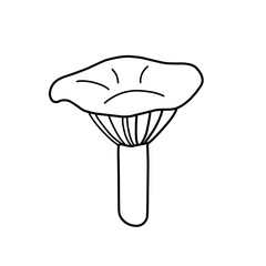Mushroom hand drawn vector illustration